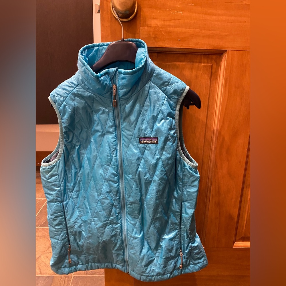 Patagonia blue vest